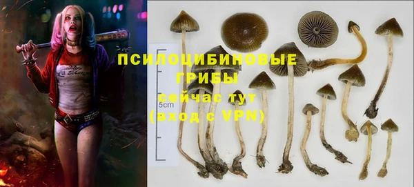 винт Лиски