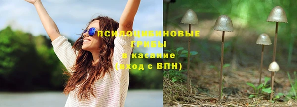 шишки Одинцово