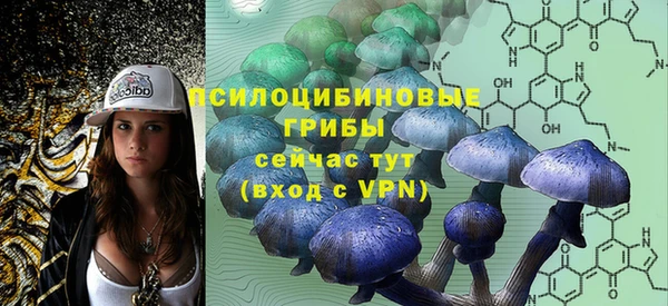 винт Лиски