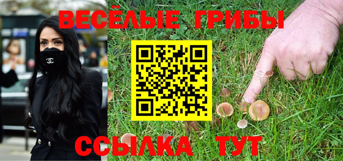 Псилоцибиновые грибы мухоморы  Псилоцибиновые грибы MAGIC MUSHROOMS  Вход с VPN  Батайск 