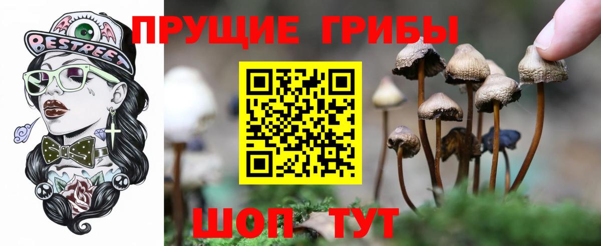 Галлюциногенные грибы Magic Shrooms Батайск